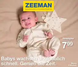 Zeeman Strampler Angebot