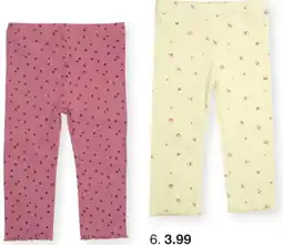 Zeeman Leggings Angebot