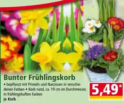 Norma Bunter Frühlingskorb Angebot