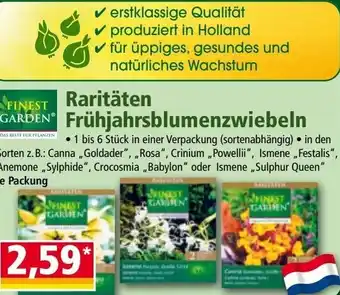 Norma Raritäten  Frühjahrsblumenzwiebeln Angebot