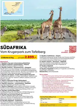 Penny Reisen SÜDAFRIKA Vom Krugerpark zum Tafelberg Angebot