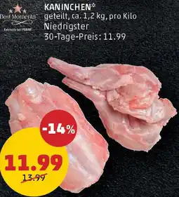 PENNY Kaninchen Angebot