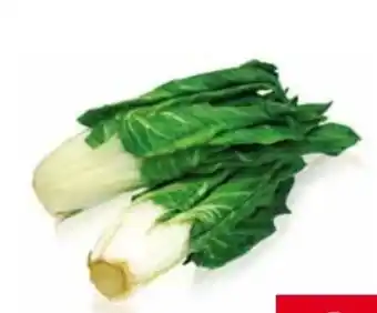 Transgourmet Pak Choi Angebot