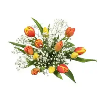 PENNY Bunter Tulpenstrauss 15 Tulpen mit Beiwerk Penny Angebot