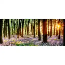 Möbelix Wandbild Veilchen Wald Multicolor 117x49 cm Angebot