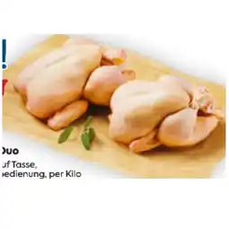 Billa Hendl-Duo BILLA Angebot