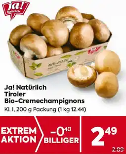 Billa Tiroler Bio-Cremechampignons Angebot