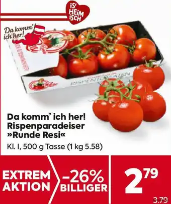 Billa Rispenparadeiser Runde Resi Angebot