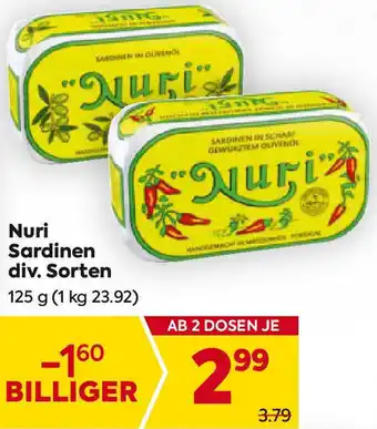 Billa Nuri Sardinen Angebot