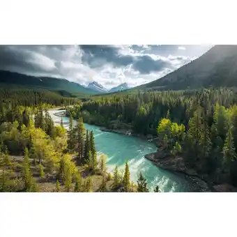 Möbelix Fototapete 450/280 cm Flusslauf Angebot