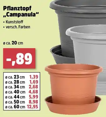 Thomas Philipps Pflanztopf „Campanula Angebot