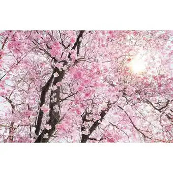 Möbelix Vliestapete 400/260 cm Floral Angebot