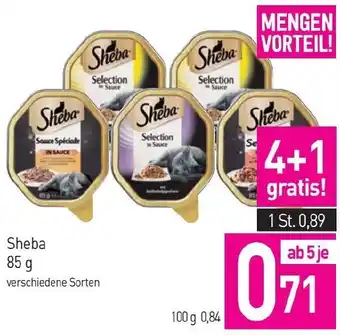 Sutterlüty Sheba Angebot