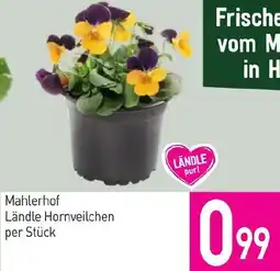 Sutterlüty Mahlerhof Ländle Hornveilchen Angebot