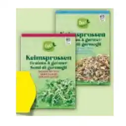 Hofer Bio-Keimsprossen versch. Sorten HOFER Angebot