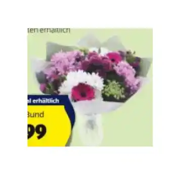 Hofer Premium-Bouquet HOFER Angebot