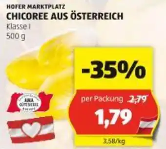 Hofer Chicoree aus österreich Angebot