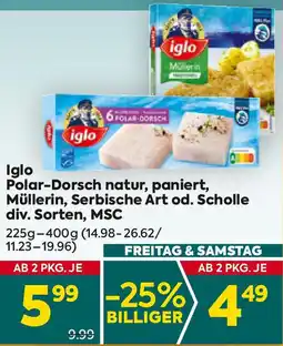 Billa Polar-Dorsch natur, paniert, Müllerin, Serbische Art od. Scholle Angebot