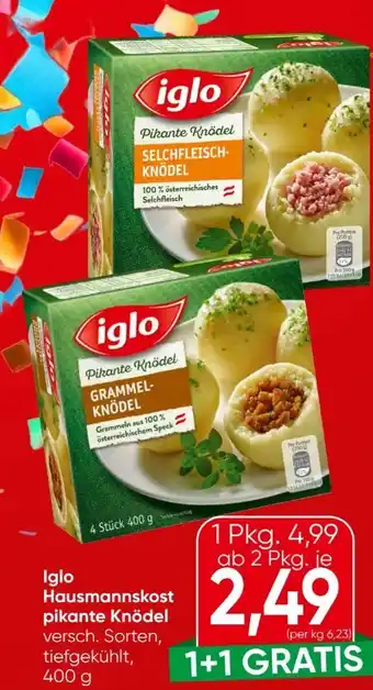 Eurospar Iglo Hausmannskost-Knödel Angebot