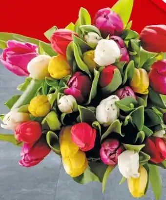 Interspar Tulpensträuße Angebot