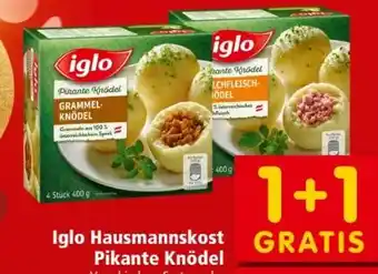 Interspar Iglo Pikante Knödel Angebot