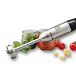 Interspar Simpex Professional Stabmixer LeChef Angebot