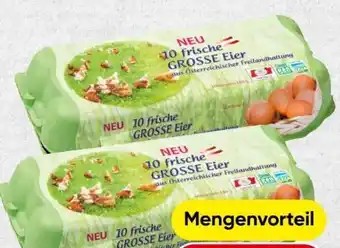 Spar Eier Angebot