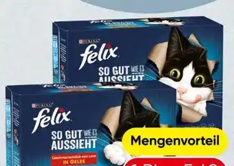 Spar Purina Felix Katzennahrung Angebot