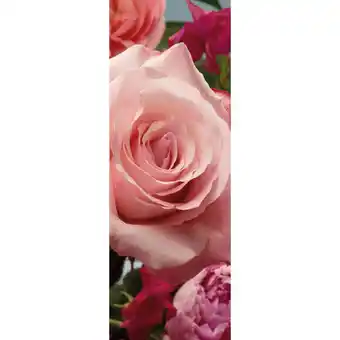 Möbelix Vliestapete 100/280 cm Rose Angebot