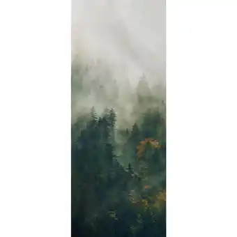 Möbelix Vliestapete 100/250 cm Bäume Angebot