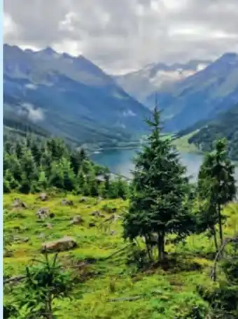 Hofer Hofer-Reisen Fügen im Zillertal-Tirol Angebot