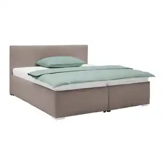 Möbelix Polsterbett Lesia Angebot