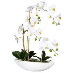 Möbelix Kunstpflanze Orchideen Grün/Weiß, 60 cm Angebot