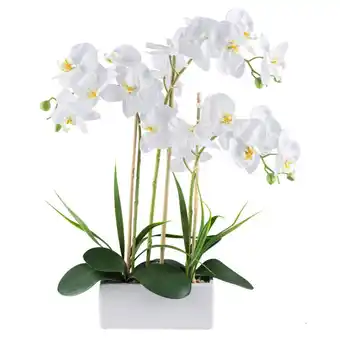 Möbelix Kunstpflanze Orchideen Grün/Weiß, 58 cm Angebot