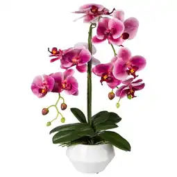 Möbelix Kunstpflanze Orchideen Dunkelrosa, inkl.topf, H:52 cm Angebot