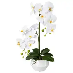 Möbelix Kunstpflanze Orchideen Weiß, inkl. Topf, H: 52 cm Angebot