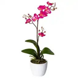 Möbelix Kunstpflanze Orchideen Rosa, Topf: Weiß, H: 55 cm Angebot