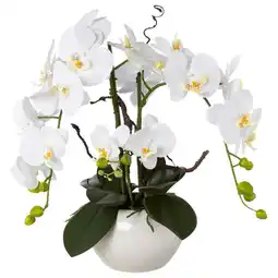 Möbelix Kunstpflanze Orchideen Weiß, Topf: Weiß, H: 55 cm Angebot