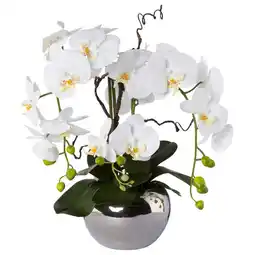 Möbelix Kunstpflanze Orchideen, Weiß Topf: Silberfarben, H: 55 cm Angebot