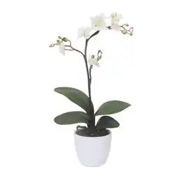 Möbelix Kunstpflanze Orchideen Creme, Topf: Weiß: H: 55 cm Angebot