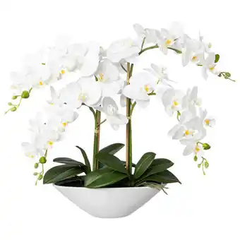 Möbelix Kunstpflanze Orchideen Weiß, Topf: Weiß, H: 53 cm Angebot