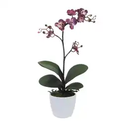 Möbelix Kunstpflanze Orchideen Lila, Topf: Weiß, H: 55 cm Angebot