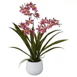 Möbelix Kunstpflanze Orchideen Dunkelrosa, Topf: Weiß,h:50 cm Angebot