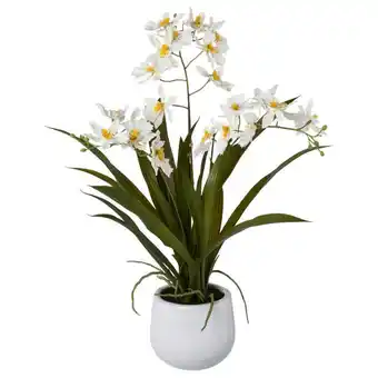 Möbelix Kunstpflanze Orchideen Weiß, Topf: Weiß, H: 50 cm Angebot