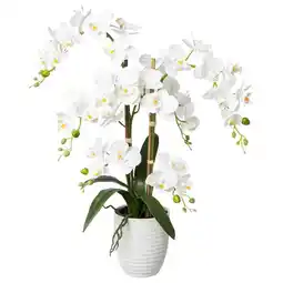 Möbelix Kunstpflanze Orchideen Weiß, Topf: Weiß, H: 67 cm Angebot