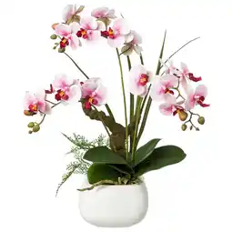 Möbelix Kunstpflanze Orchideen Rosa, Topf: Weiß, H: 46 cm Angebot