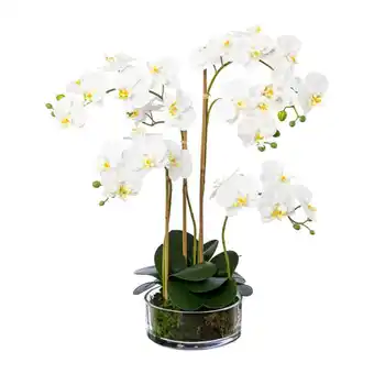 Möbelix Kunstpflanze Orchidee Weiß, Topf: Glas, H: 50 cm Angebot