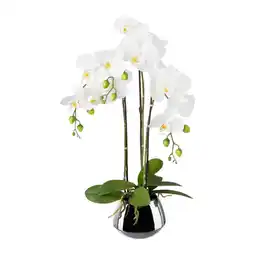 Möbelix Kunstpflanze Orchideen, Weiß Topf: Silberfarben, H: 55 cm Angebot