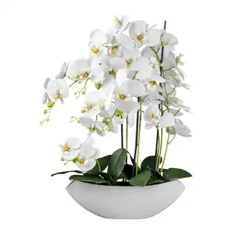 Möbelix Kunstpflanze Orchideen Weiß, Topf: Weiß, H: 63 cm Angebot