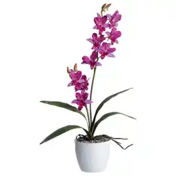 Möbelix Kunstpflanze Orchideen Lila, Topf: Weiß, H: 60 cm Angebot